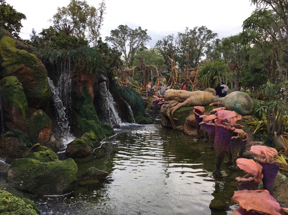Pandora - Animal Kingdom
