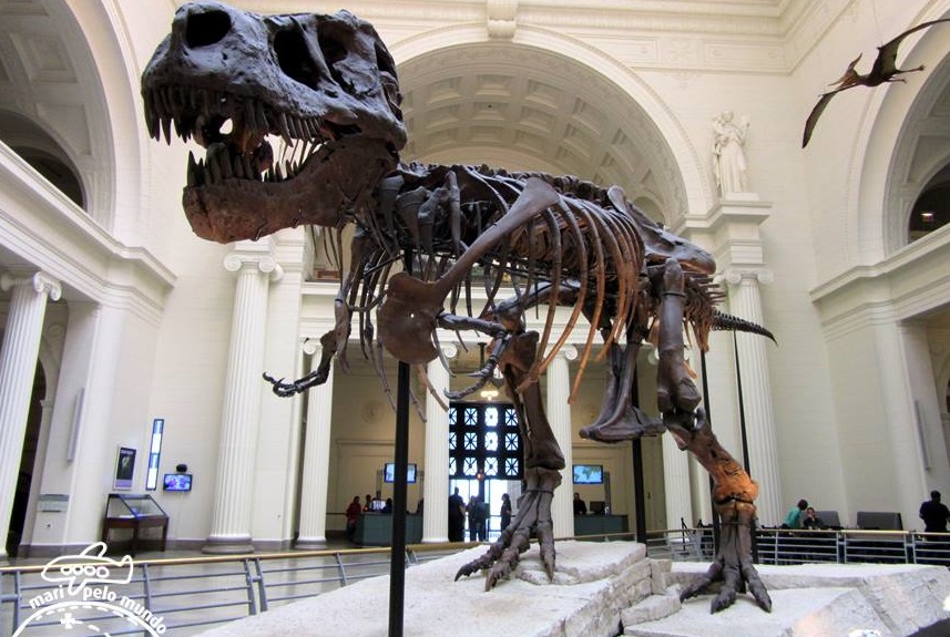 Esqueleto do Tiranossauro Rex
