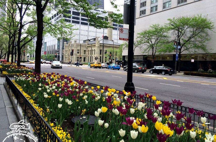 Magnificent Mile - Michigan Avenue na primavera 