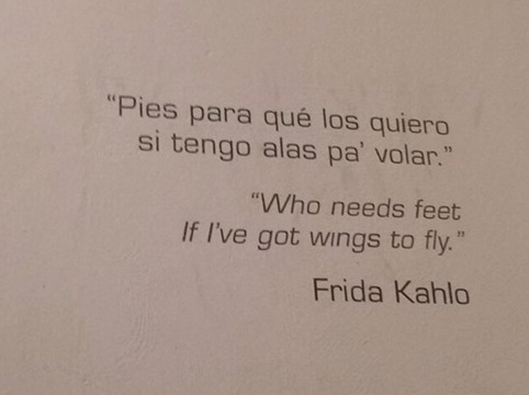 A casa azul - Museu Frida Kahlo