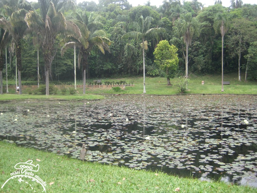 Jardim Botanico 