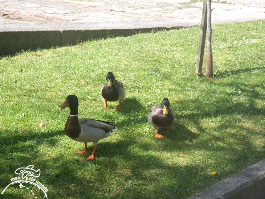Jardins do Palacio de Cristal