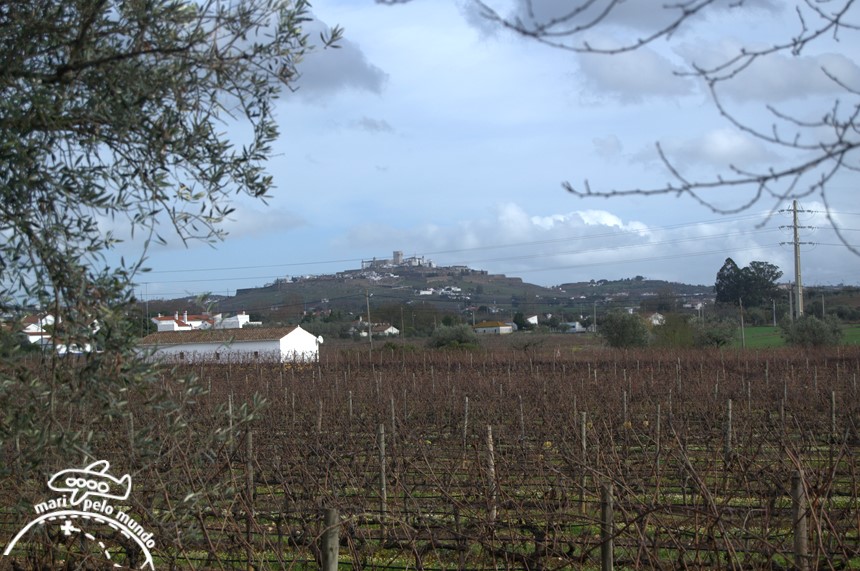 Vinhas J. Portugal Ramos