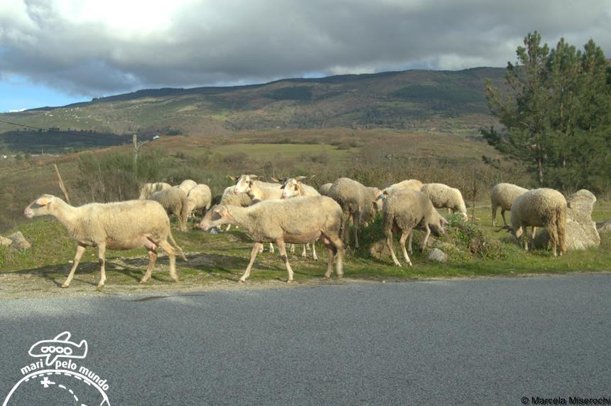 Serra da Estrela em Portugal