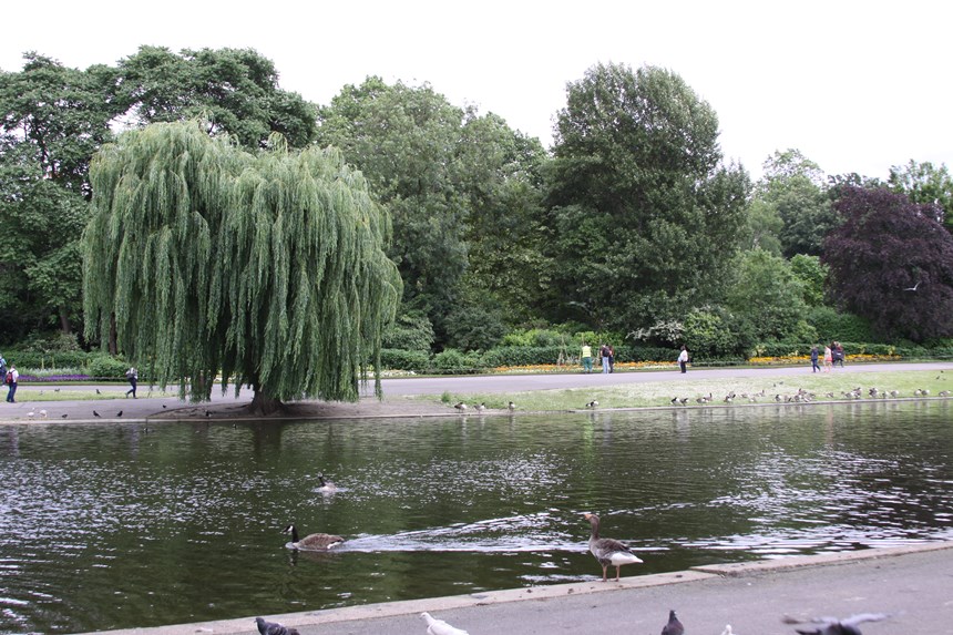 13-regents-park-copy