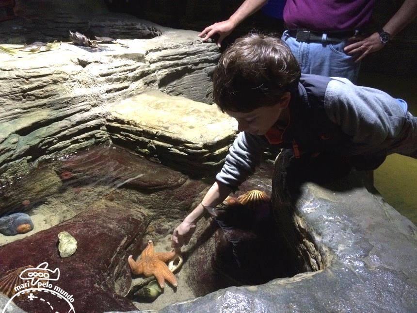 2-sea-life-aquarium-copy-copy