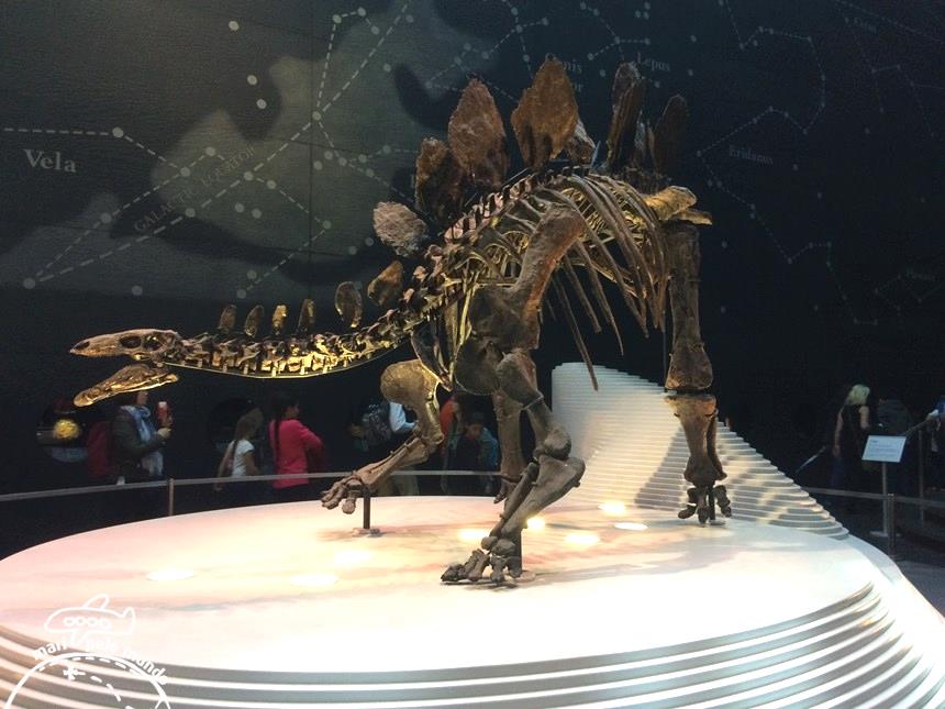 5-museu-de-historia-natural-copy-copy