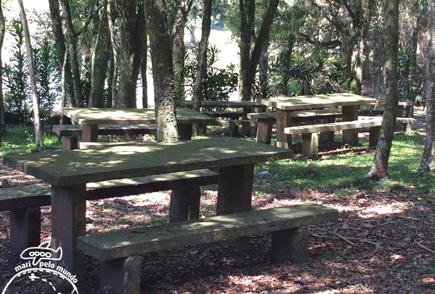 garibaldi-vintage-2-copy