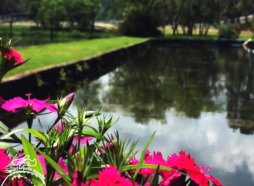 garibaldi-vintage-6-copy