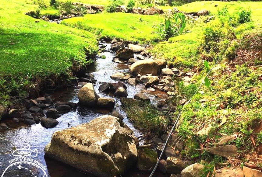 garibaldi-vintage-copy