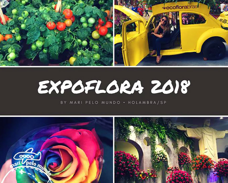 Como visitar a Expoflora 2018