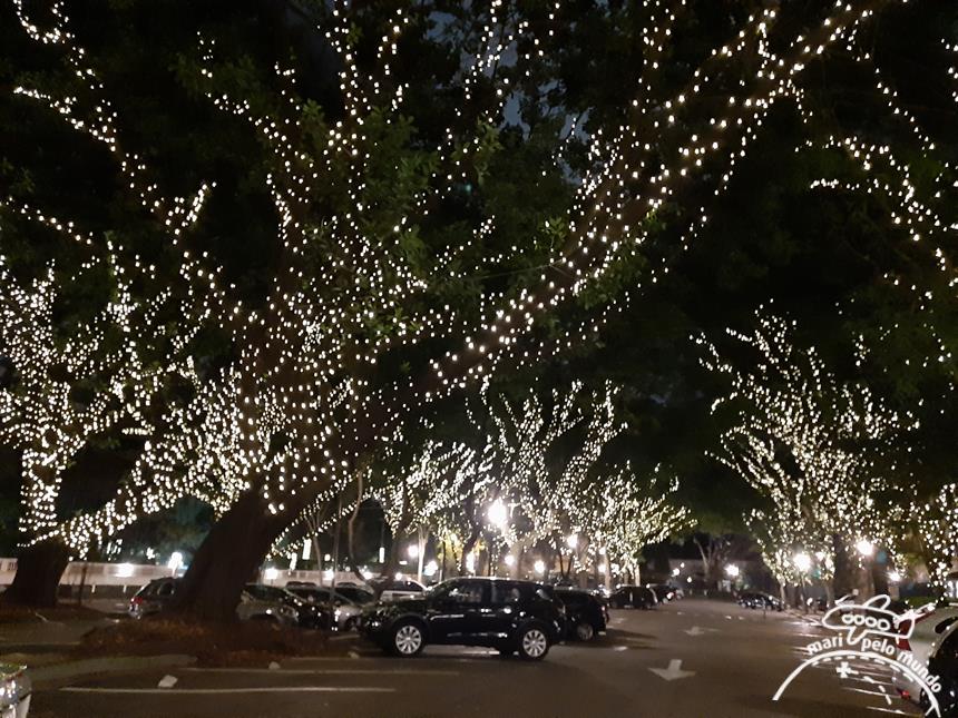 Decoração de Natal 2019 em Shoppings de São Paulo | Mari Pelo Mundo -  Viagens exclusivas e de luxo em família