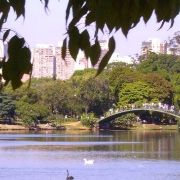 Parque do Ibirapuera