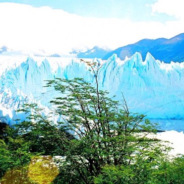 Vista do Glaciar Perito Moreno - El Calafate