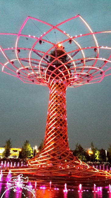 Árvore da Vida - Área da Itália