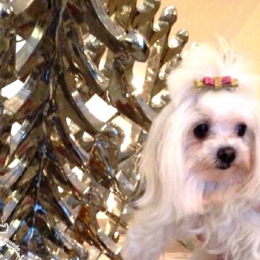 Thifany no Copacabana Palace