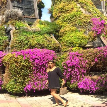 Parque Araucano Las Condes