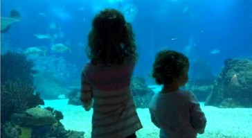 Oceanário de Lisboa