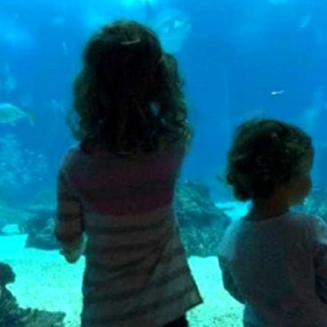Oceanário de Lisboa