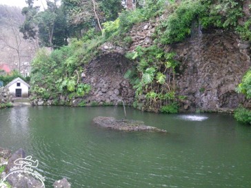 Jardim Tropical Monte Palace