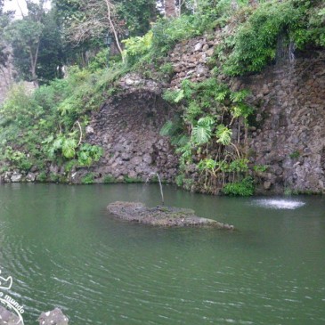 Jardim Tropical Monte Palace