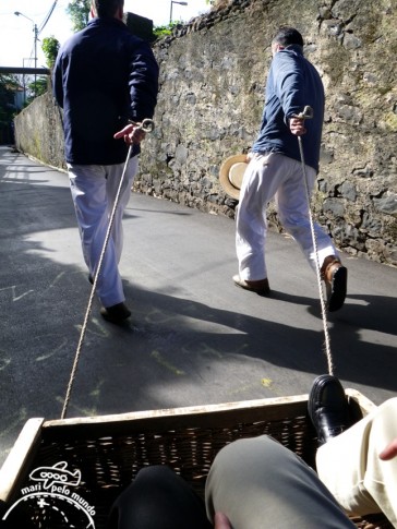 Carros de cesto do monte