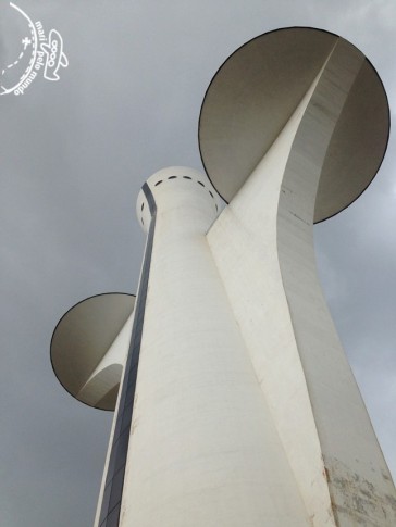 TV Digital Flor do Cerrado