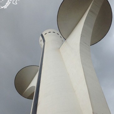 TV Digital Flor do Cerrado