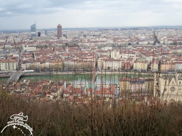 Lyon vista de cima