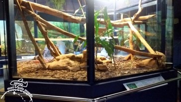 Museu Biológico do Instituto Butantan