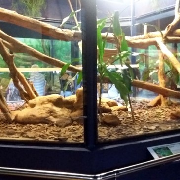 Museu Biológico do Instituto Butantan