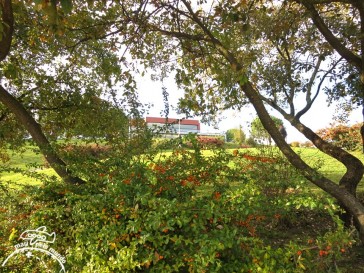 Jardim Amalia Rodrigues