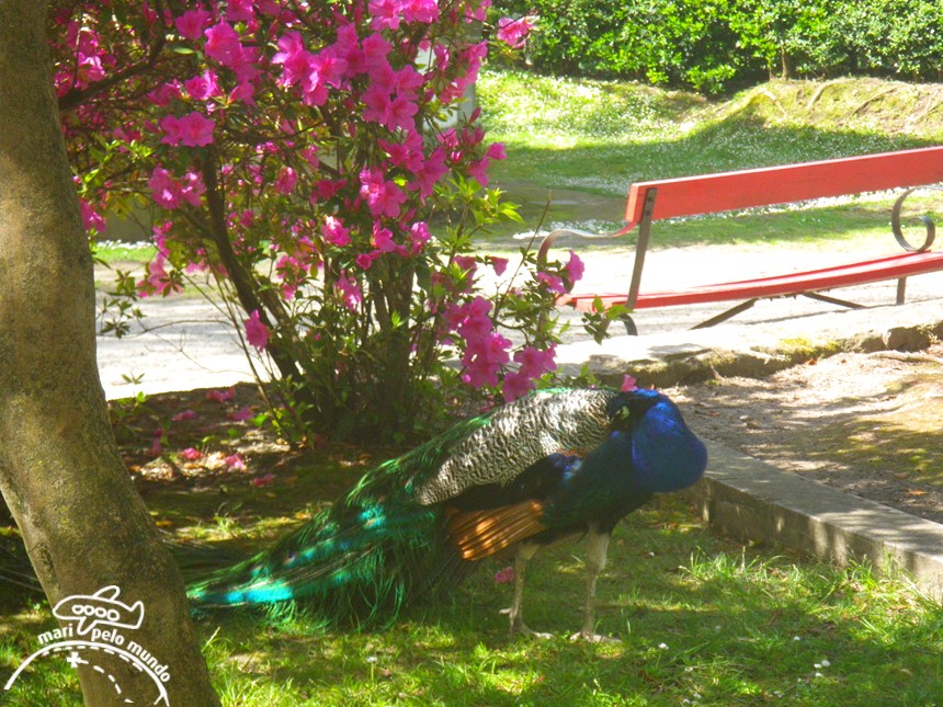 Jardins do Palacio de Cristal