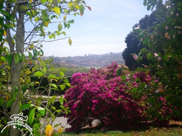 Jardins do Palacio de Cristal