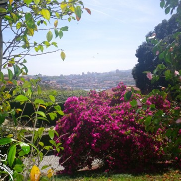 Jardins do Palacio de Cristal