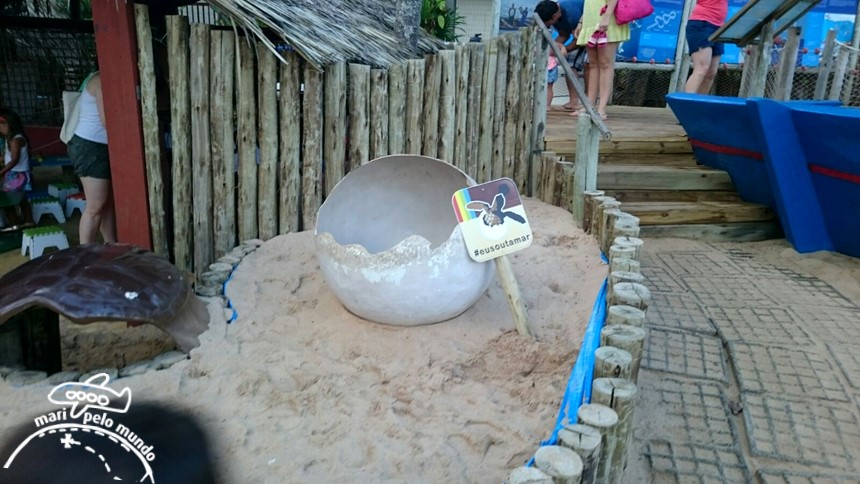 Projeto Tamar Praia do Forte Bahia