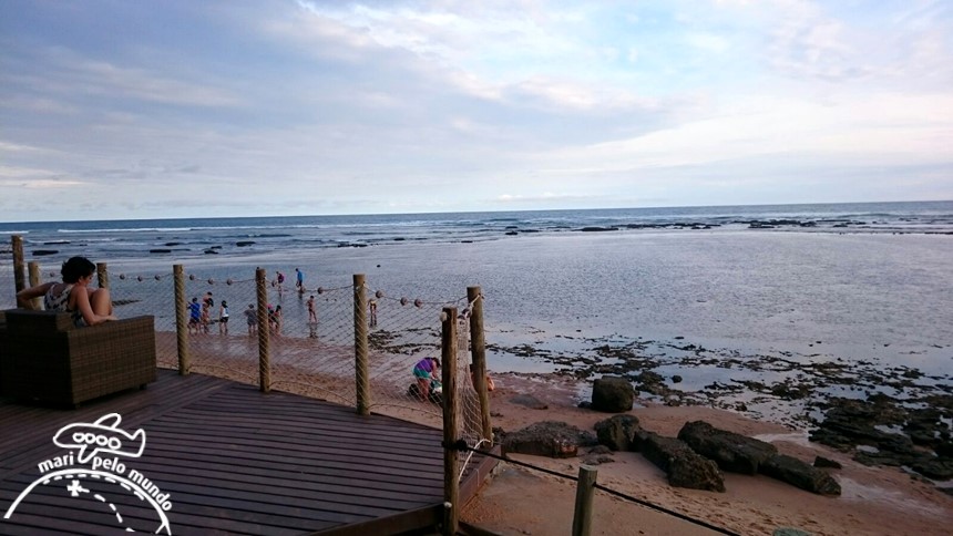 Projeto Tamar Praia do Forte Bahia (15)