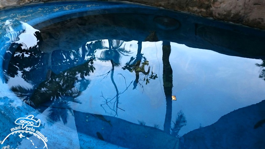 Projeto Tamar Praia do Forte Bahia