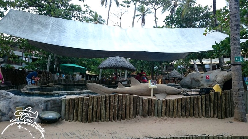 Projeto Tamar Praia do Forte Bahia