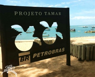Projeto Tamar Praia do Forte Bahia