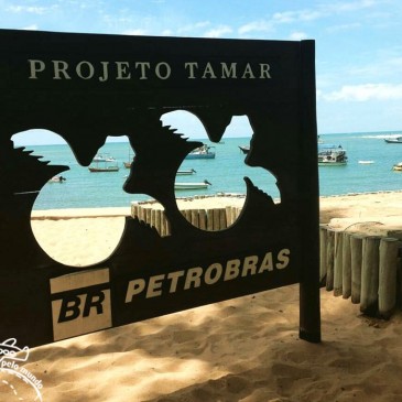 Projeto Tamar Praia do Forte Bahia