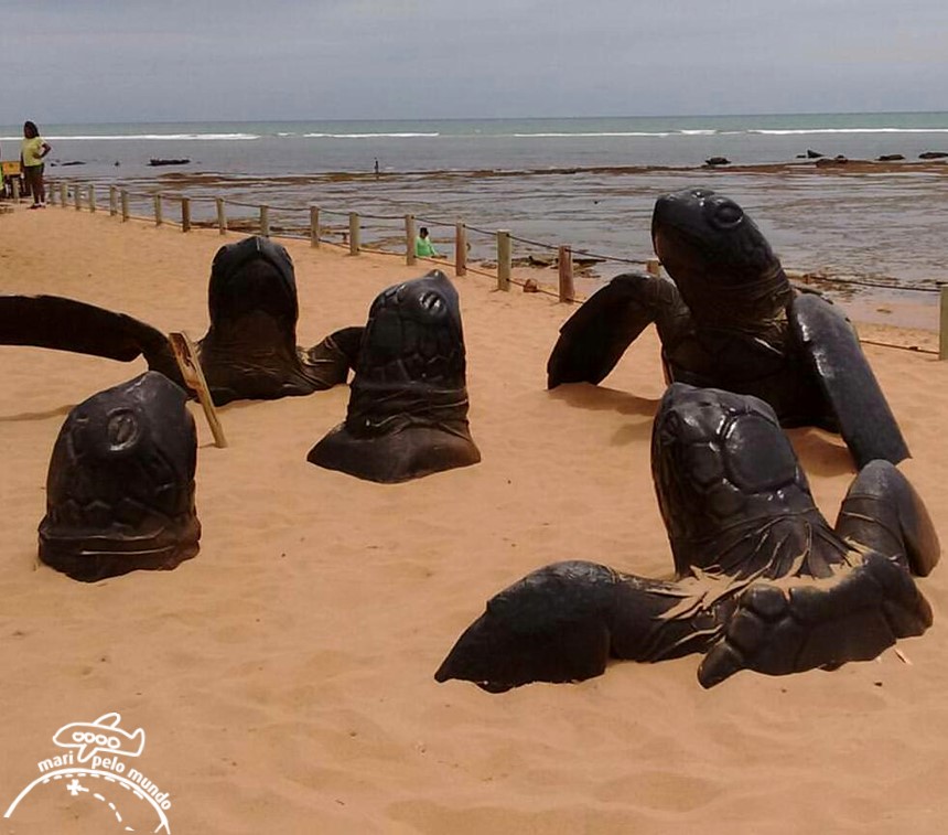 Projeto Tamar Praia do Forte Bahia