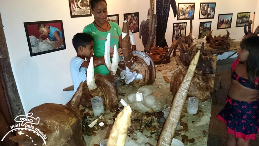 Projeto Tamar Praia do Forte Bahia