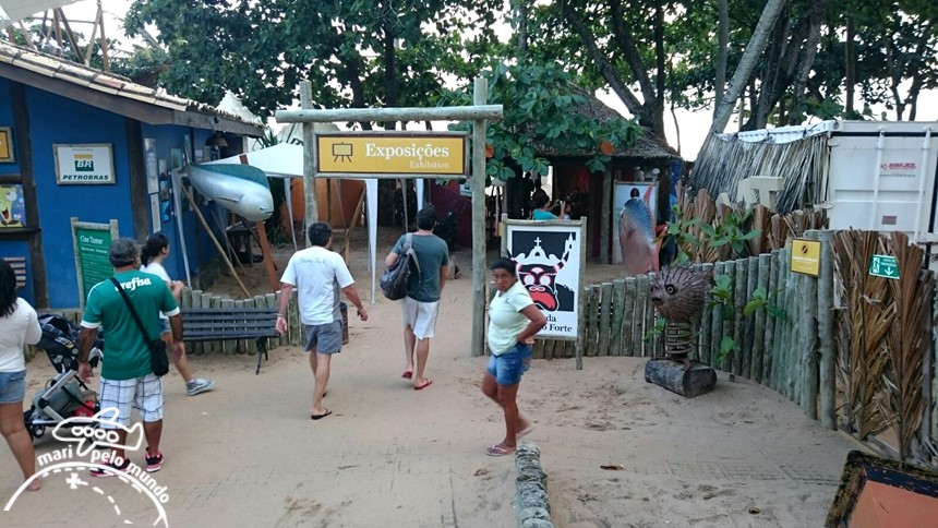 Projeto Tamar Praia do Forte Bahia