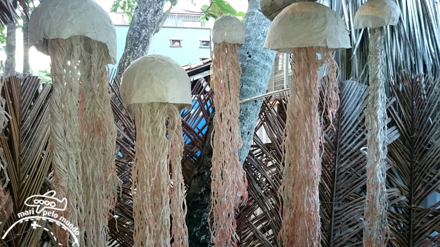 Projeto Tamar Praia do Forte Bahia