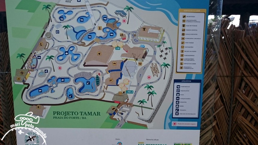 Projeto Tamar Praia do Forte Bahia