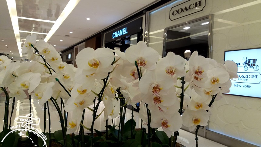 Shopping Iguatemi JK