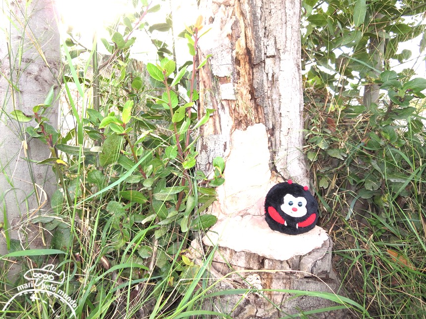 A Biblioteca de Adriano