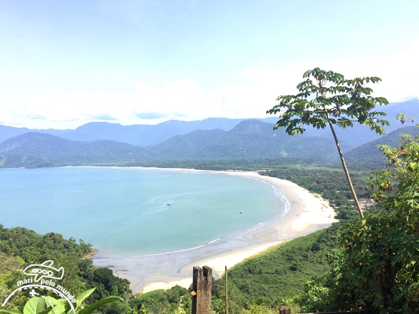 IMG-20160127-WA0001 (Copy)