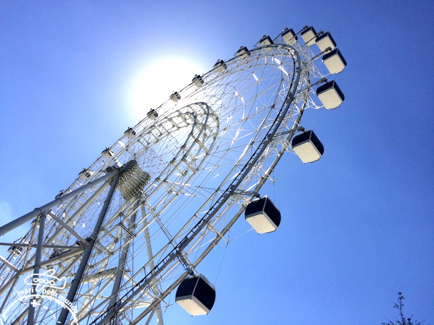 Orlando Eye (5)